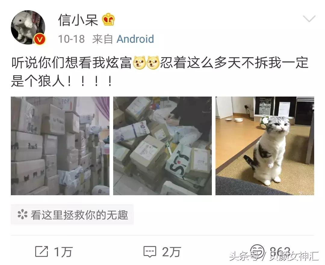 鏃ユ湰璐靛,鏃ユ湰椤剁骇楂樻。璐靛鍝佺墝