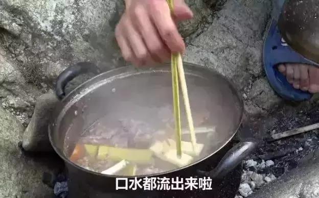 2018年华农兄弟吃的竹鼠,华农兄弟吃竹鼠的一百种理由