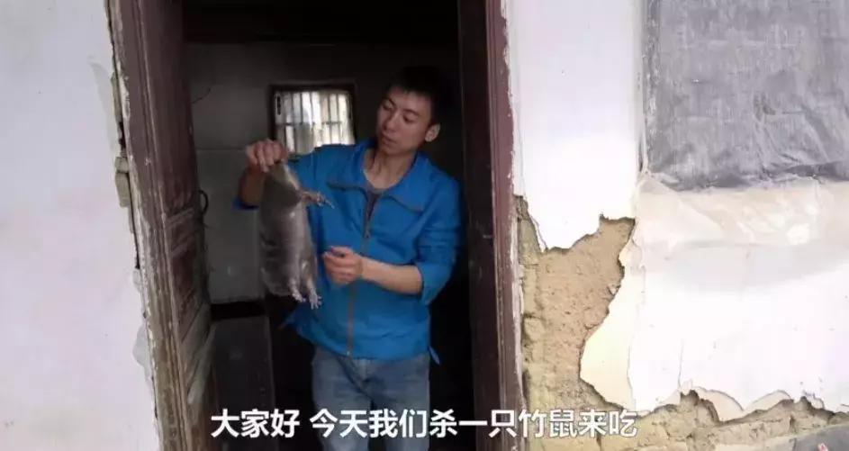 2018年华农兄弟吃的竹鼠,华农兄弟吃竹鼠的一百种理由