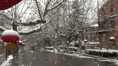 蛇皮肤如何修复,蛇皮肤正确护理方法