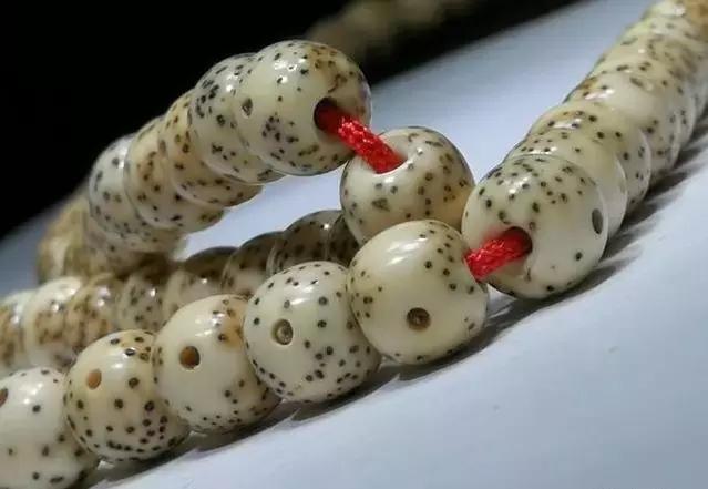 原生态星月10年变化不大,原生态星月和脱脂星月区别