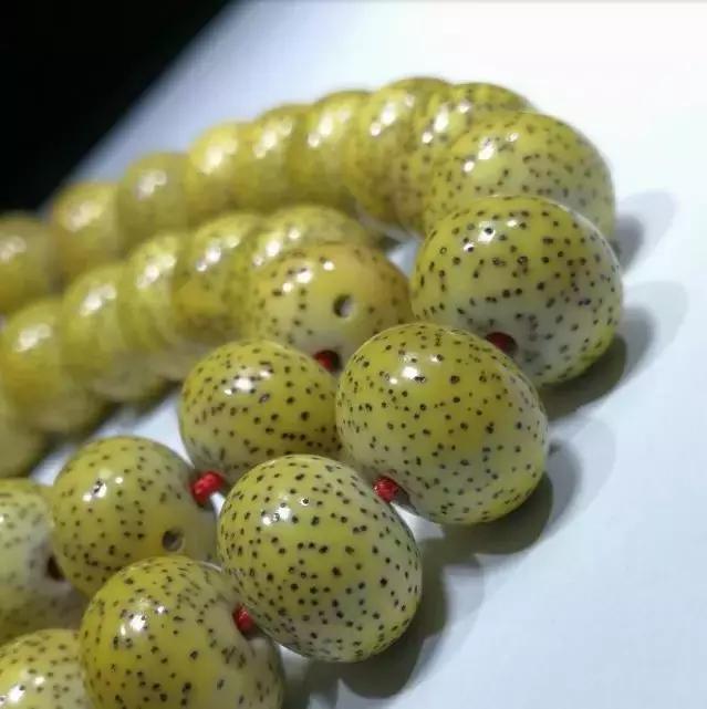 原生态星月10年变化不大,原生态星月和脱脂星月区别