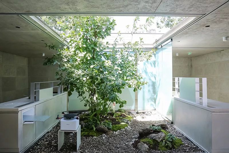 小新带你看2018CHINAHOUSEVISION探索家—未来生活大展