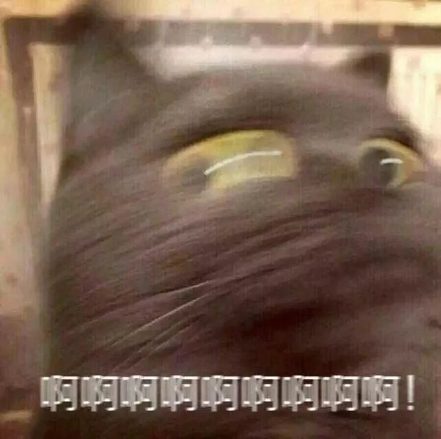 被苍蝇碰过的水还能吃吗,被苍蝇碰过的食物还能吃吗