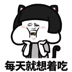 被苍蝇碰过的水还能吃吗,被苍蝇碰过的食物还能吃吗