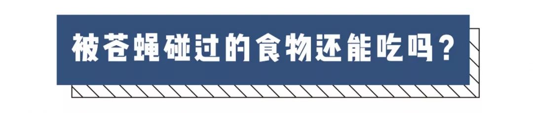 被苍蝇碰过的水还能吃吗,被苍蝇碰过的食物还能吃吗