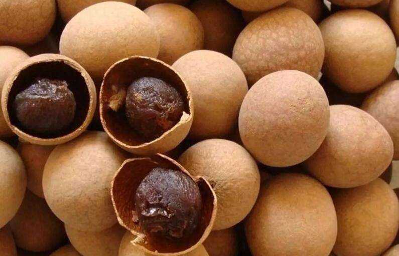 经常吃桂圆能提高免疫力吗,桂圆养生功效多这两种人最好别吃