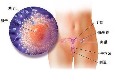 宝宝成长记4,42天宝宝成长记