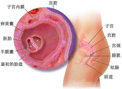 宝宝成长记4,42天宝宝成长记