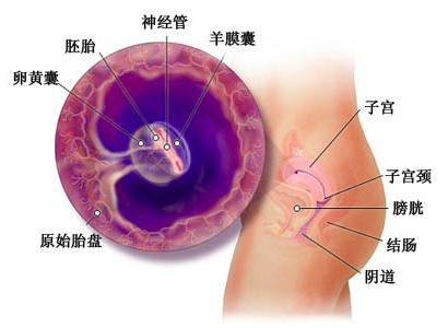 宝宝成长记4,42天宝宝成长记