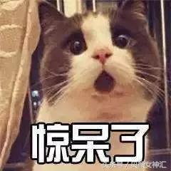 欧莱雅集团和巴黎欧莱雅,欧莱雅集团有多成功