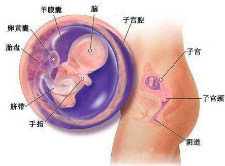 宝宝成长记4,42天宝宝成长记