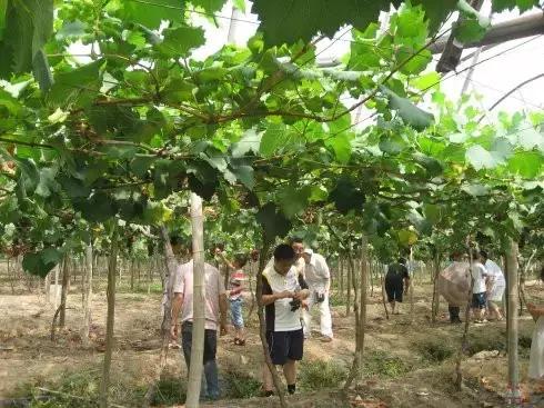 温岭美丽乡村一日游,温岭四季海湖农庄