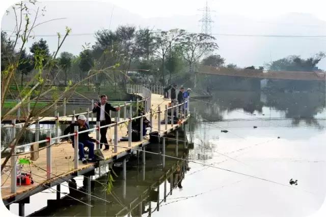 温岭美丽乡村一日游,温岭四季海湖农庄