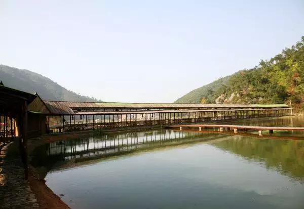 温岭美丽乡村一日游,温岭四季海湖农庄
