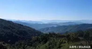 普洱山头茶价格排行,云南普洱最全30有名山头茶