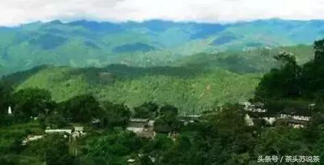 普洱山头茶价格排行,云南普洱最全30有名山头茶