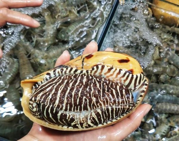 我们的蜜月之旅三亚旅行详细攻略,三亚自由行15天旅游攻略