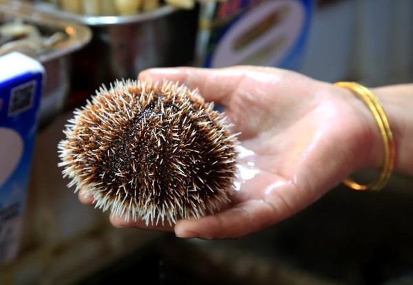 我们的蜜月之旅三亚旅行详细攻略,三亚自由行15天旅游攻略