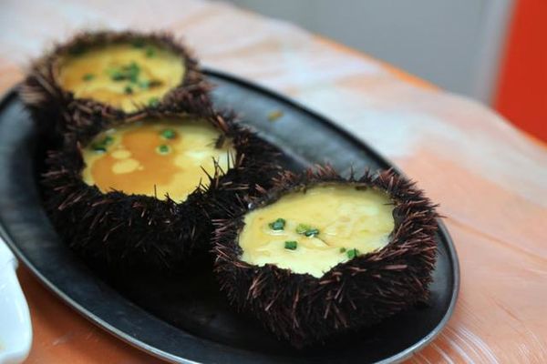 我们的蜜月之旅三亚旅行详细攻略,三亚自由行15天旅游攻略