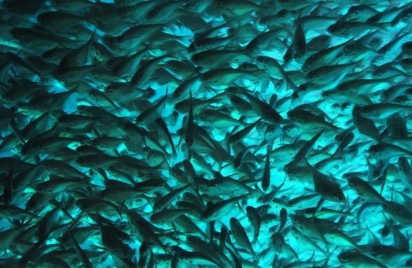 我们的蜜月之旅三亚旅行详细攻略,三亚自由行15天旅游攻略