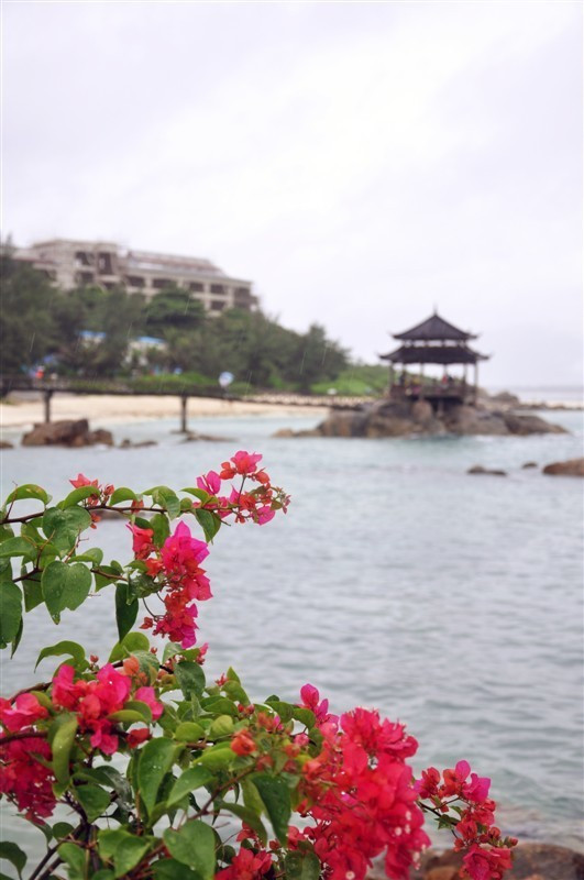 我们的蜜月之旅三亚旅行详细攻略,三亚自由行15天旅游攻略