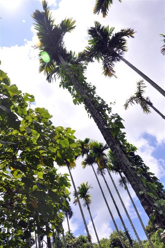 我们的蜜月之旅三亚旅行详细攻略,三亚自由行15天旅游攻略