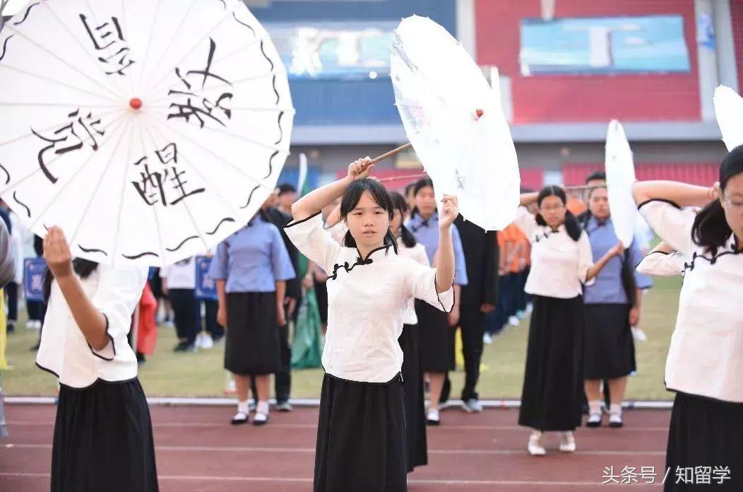 运动会高级创意,最新运动会创意展示