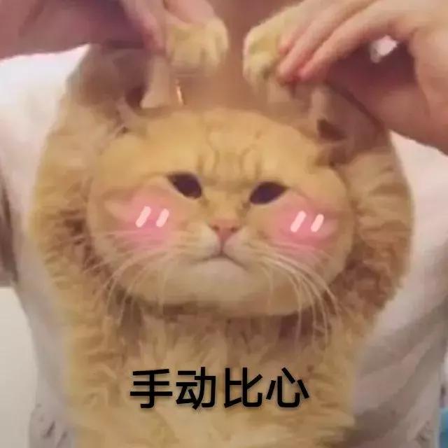 word裁剪线怎么弄,word怎么添加裁剪线和剪刀