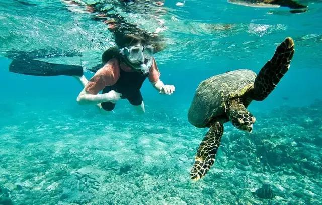 美国旅游实用攻略视频教程,一份旅游攻略