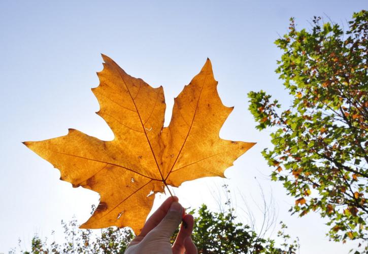 1993年加拿大大学入学要求科目,加拿大读研申请要求