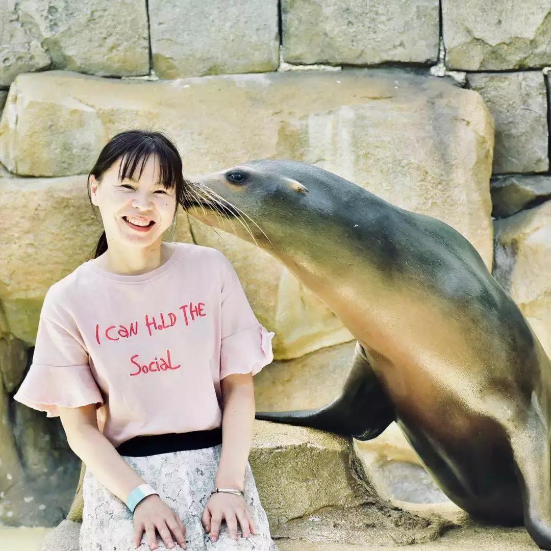 鲨鱼海豚亲子游攻略 (凤岭水世界游玩攻略)