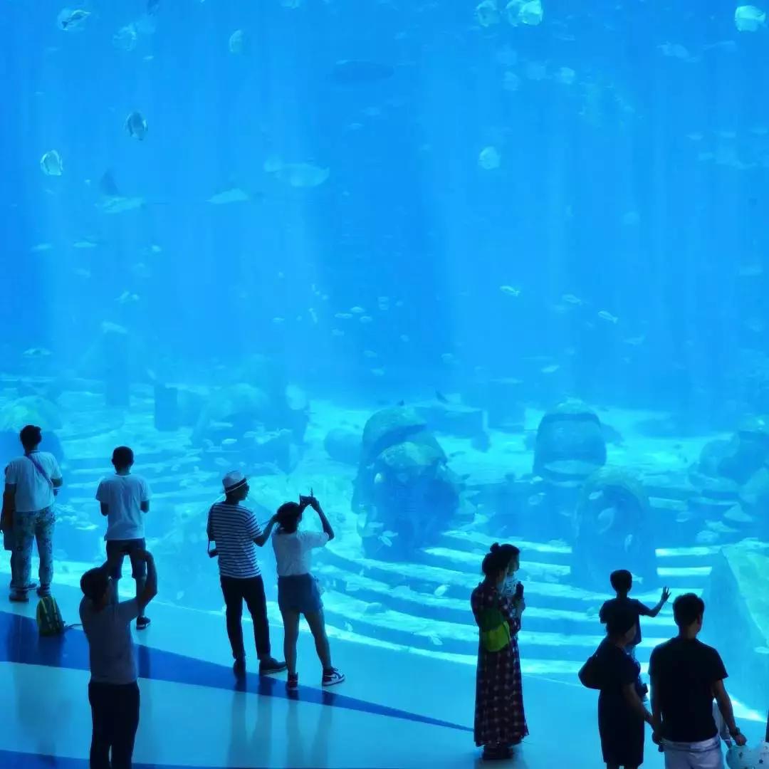 鲨鱼海豚亲子游攻略 (凤岭水世界游玩攻略)