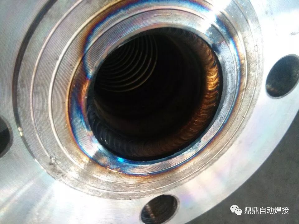 一分钟了解丹顶鹤,两分钟了解海思麒麟