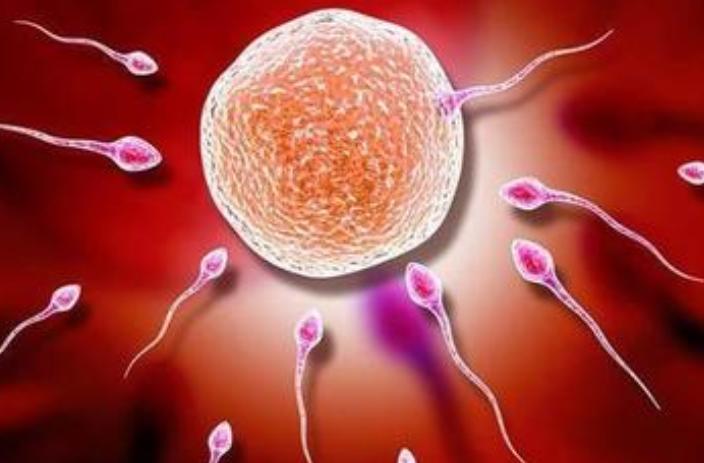 受精卵着床大概需要多久?若你能够受孕成功,身体会有3种感觉