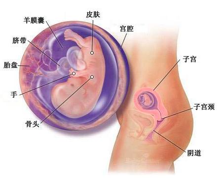 宝宝成长记4,42天宝宝成长记