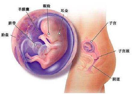 宝宝成长记4,42天宝宝成长记