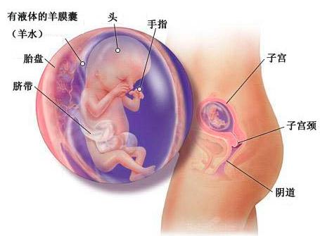 宝宝成长记4,42天宝宝成长记