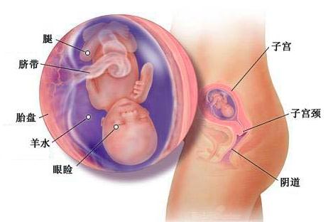 宝宝成长记4,42天宝宝成长记