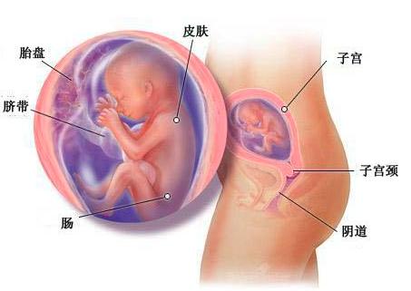 宝宝成长记4,42天宝宝成长记