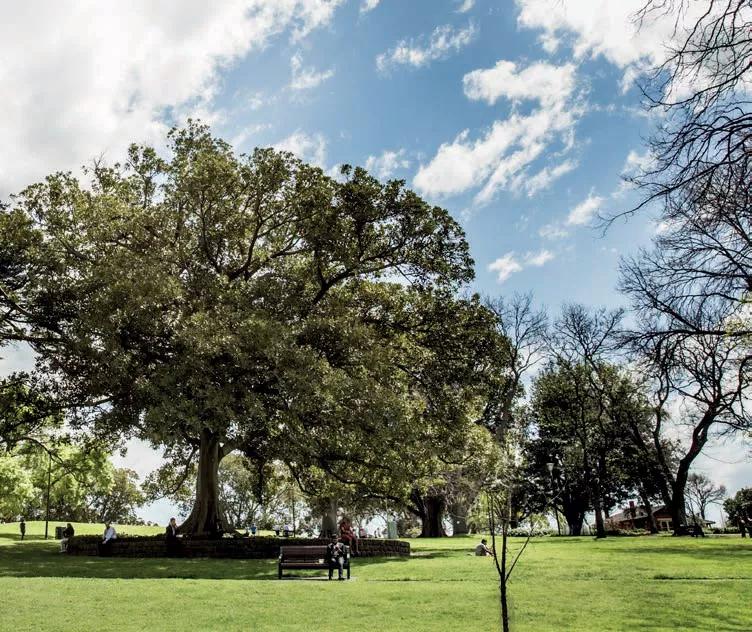 墨尔本公寓值不值得购买,墨尔本cbd公寓出售