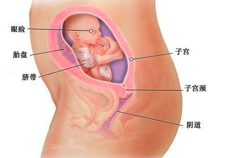 宝宝成长记4,42天宝宝成长记