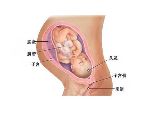 宝宝成长记4,42天宝宝成长记