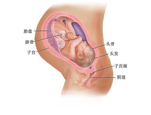 宝宝成长记4,42天宝宝成长记