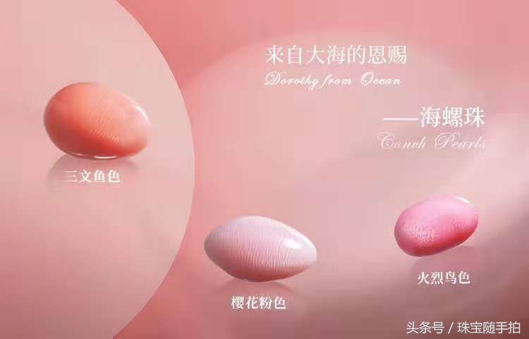 宝石海螺珠,萌新带你看原神