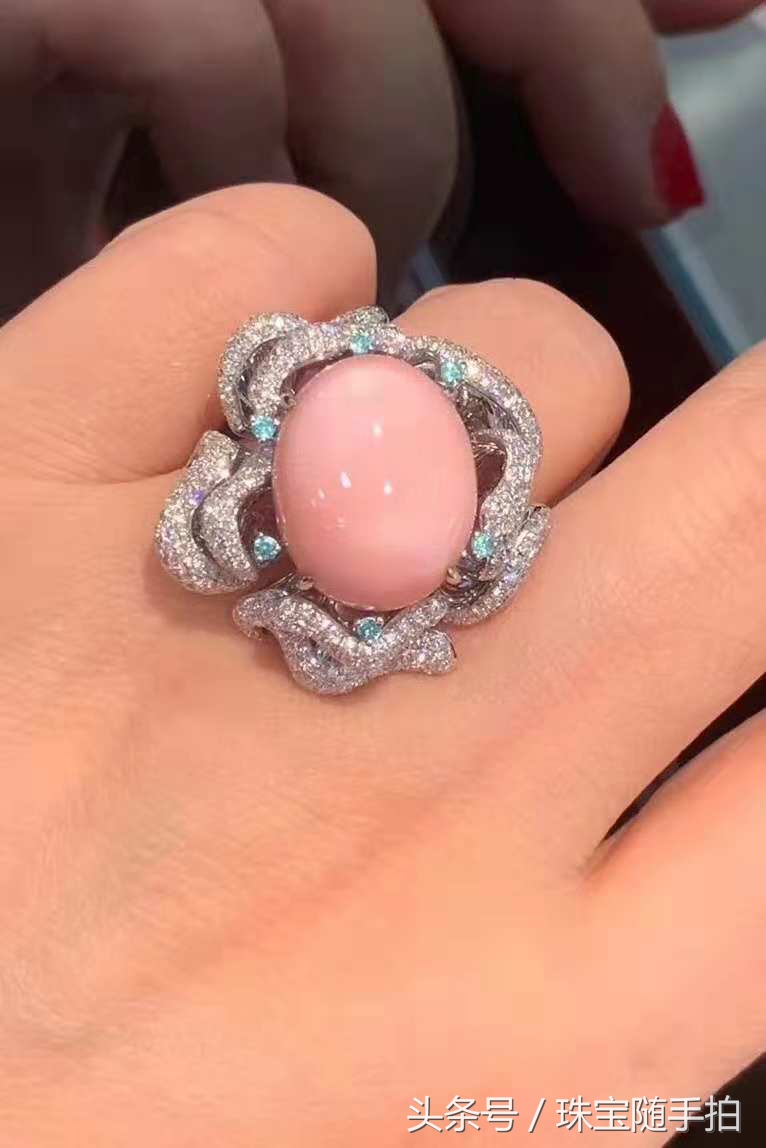 宝石海螺珠,萌新带你看原神