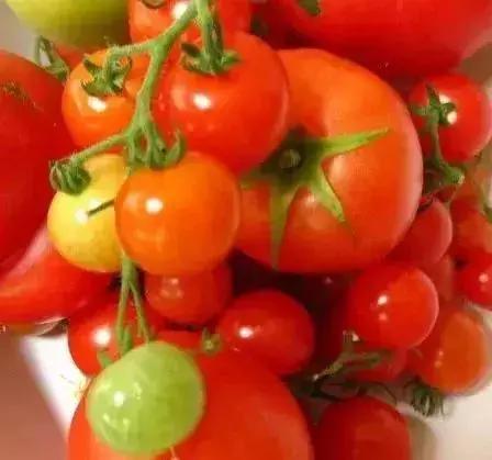 人最容易得的几大癌症,最易得的十种癌症