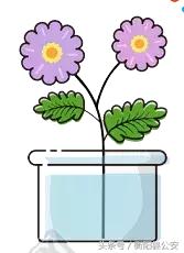 2017届新警感悟丨新角色新征程