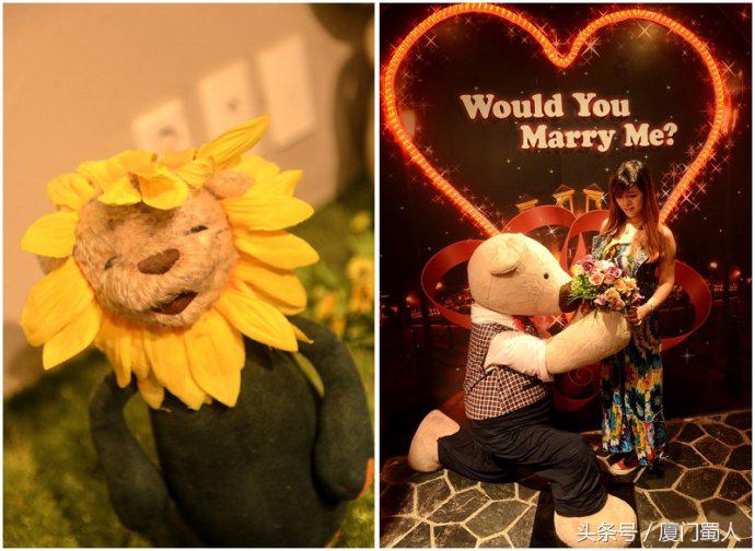 济州岛泰迪熊博物馆简介,济州泰迪熊博物馆游玩攻略