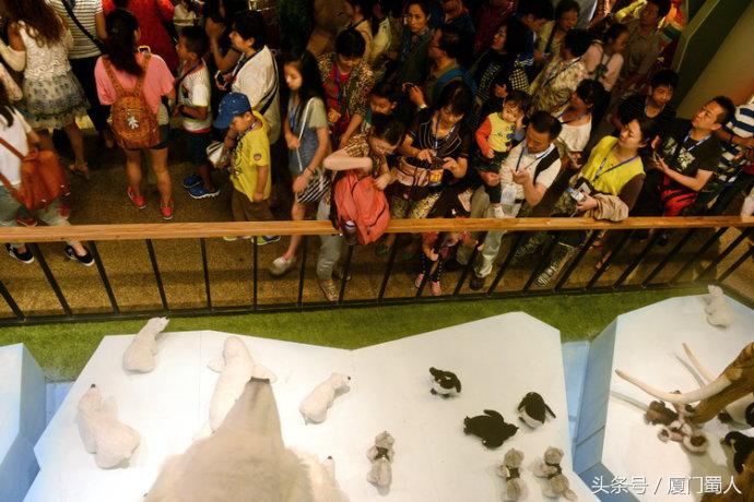 济州岛泰迪熊博物馆简介,济州泰迪熊博物馆游玩攻略